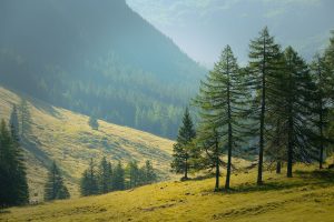 What is a DMC in the Travel Industry?